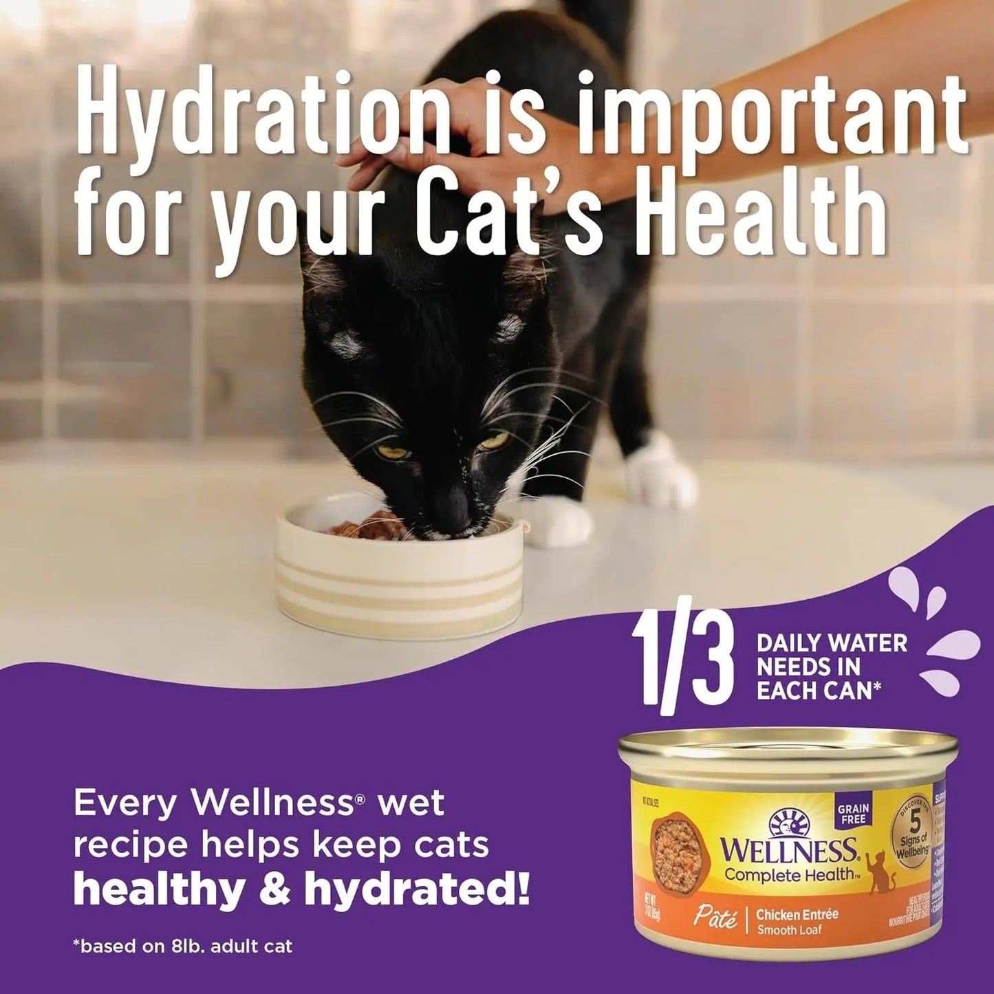 Wellness Complete Health Pate Adult Wet Cat Food, Natural, Protein-Rich, Grain F - Wellness