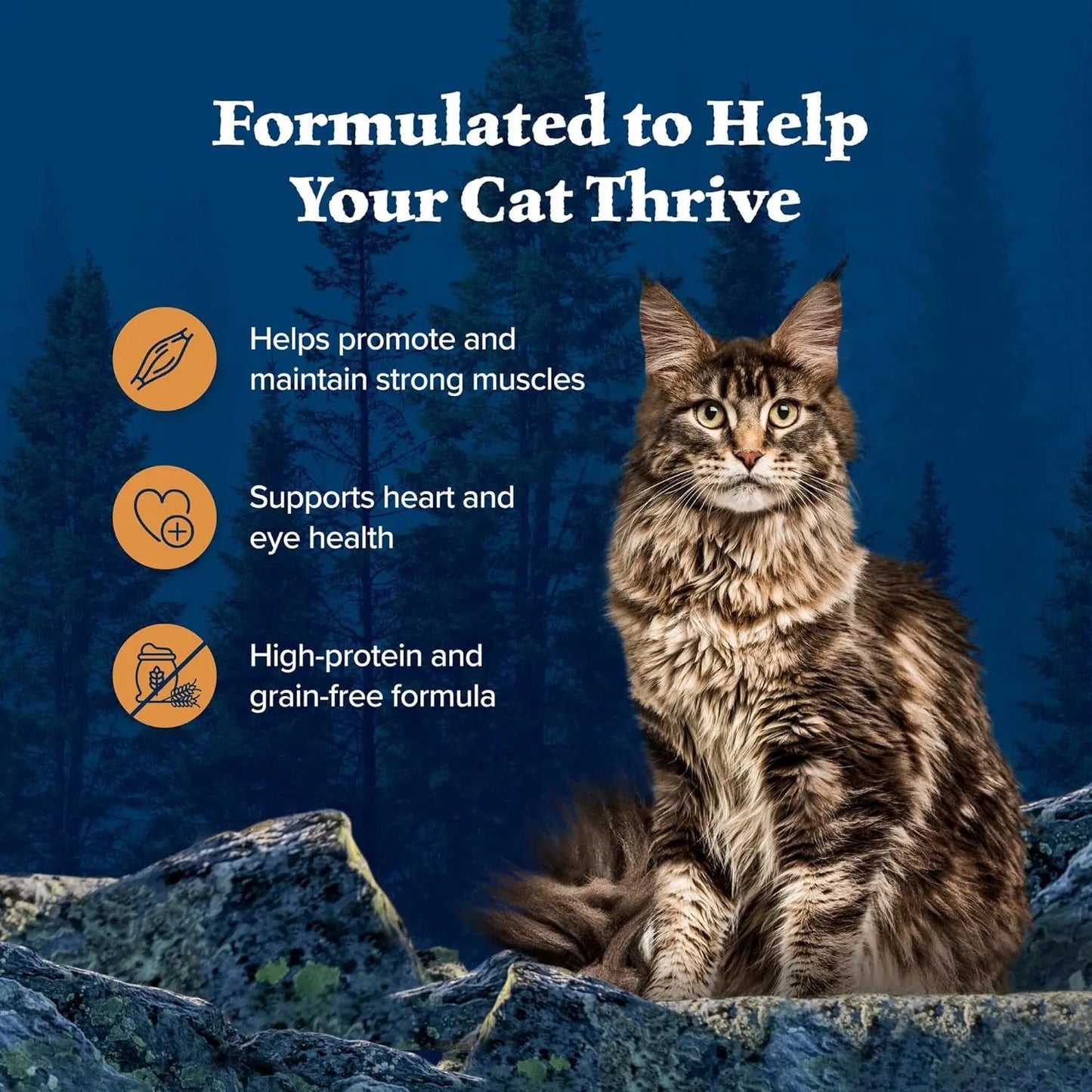 Blue Buffalo Wilderness Wild Delights Minced Natural Wet Cat Food, Chicken & Turkey in Tasty - Blue Buffalo